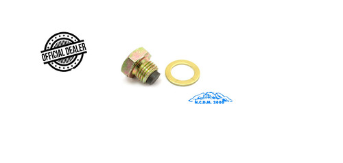 Tappo scarico olio - scarico, xv